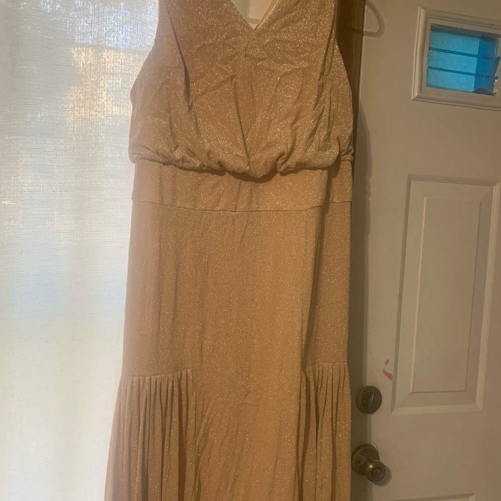 Midnight Velvet Shimmering Tan Maxi Dress with back zipper and gathered on bo si
